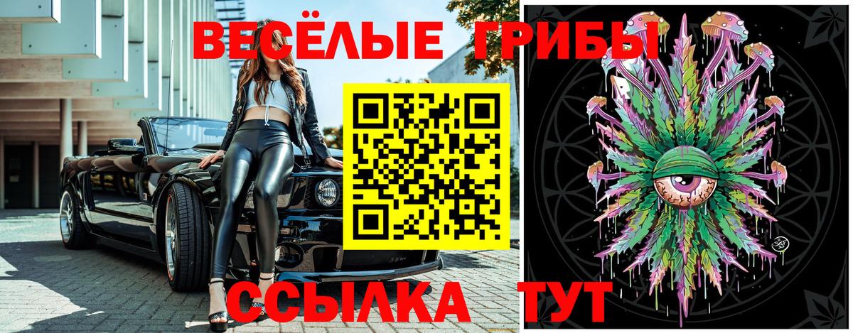Галлюциногенные грибы мицелий Ачхой-Мартан