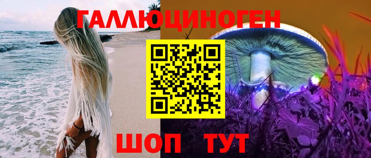 Галлюциногенные грибы Cubensis  Галлюциногенные грибы ЛСД  Ачхой-Мартан  Вход с VPN 